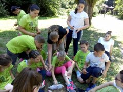 IMG-931f0b90e01c55a5654816804ada7e50-V.jpg